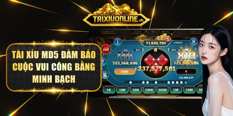 Tài xỉu MD5 đảm bảo cuộc vui công bằng minh bạch